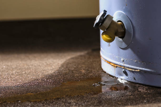 Best 24-hour water damage restoration  in Wellston, MO