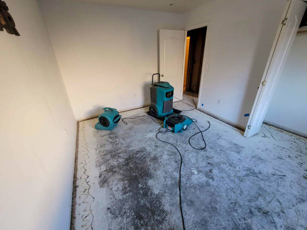 Best Sewage cleanup and water damage restoration  in Wellston, MO