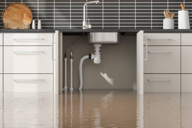 Best Basement water damage restoration  in Wellston, MO